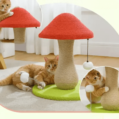 Arbre à Chat - MushroomCatTower™ - Sky le Chat