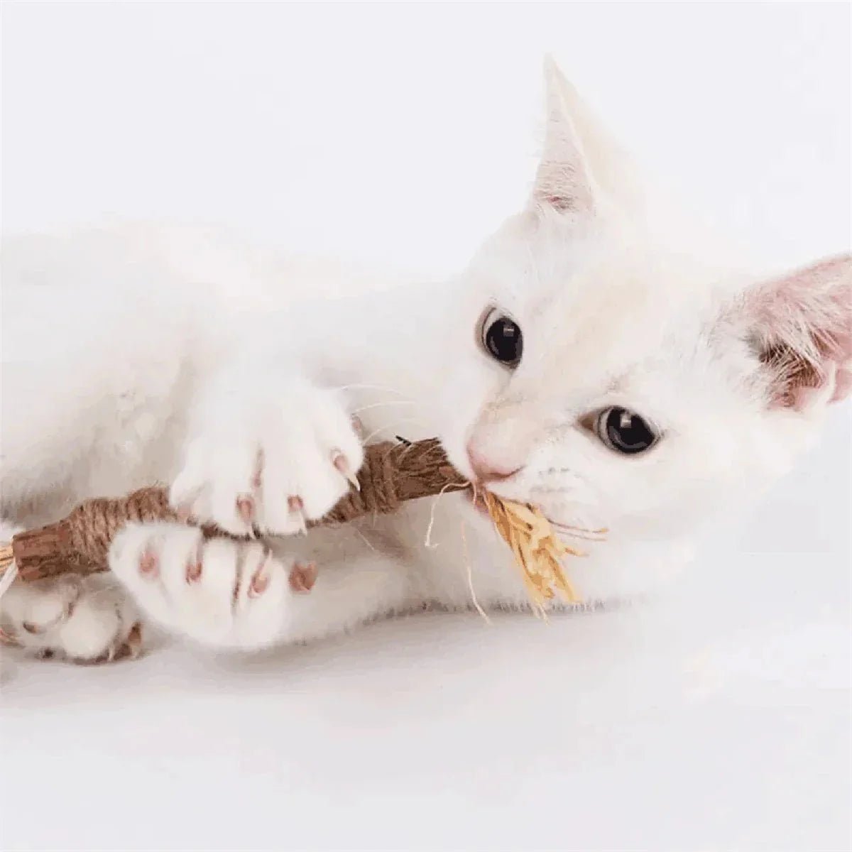 Bâton à mâcher pour chat - PurrStick™ - Sky le Chat