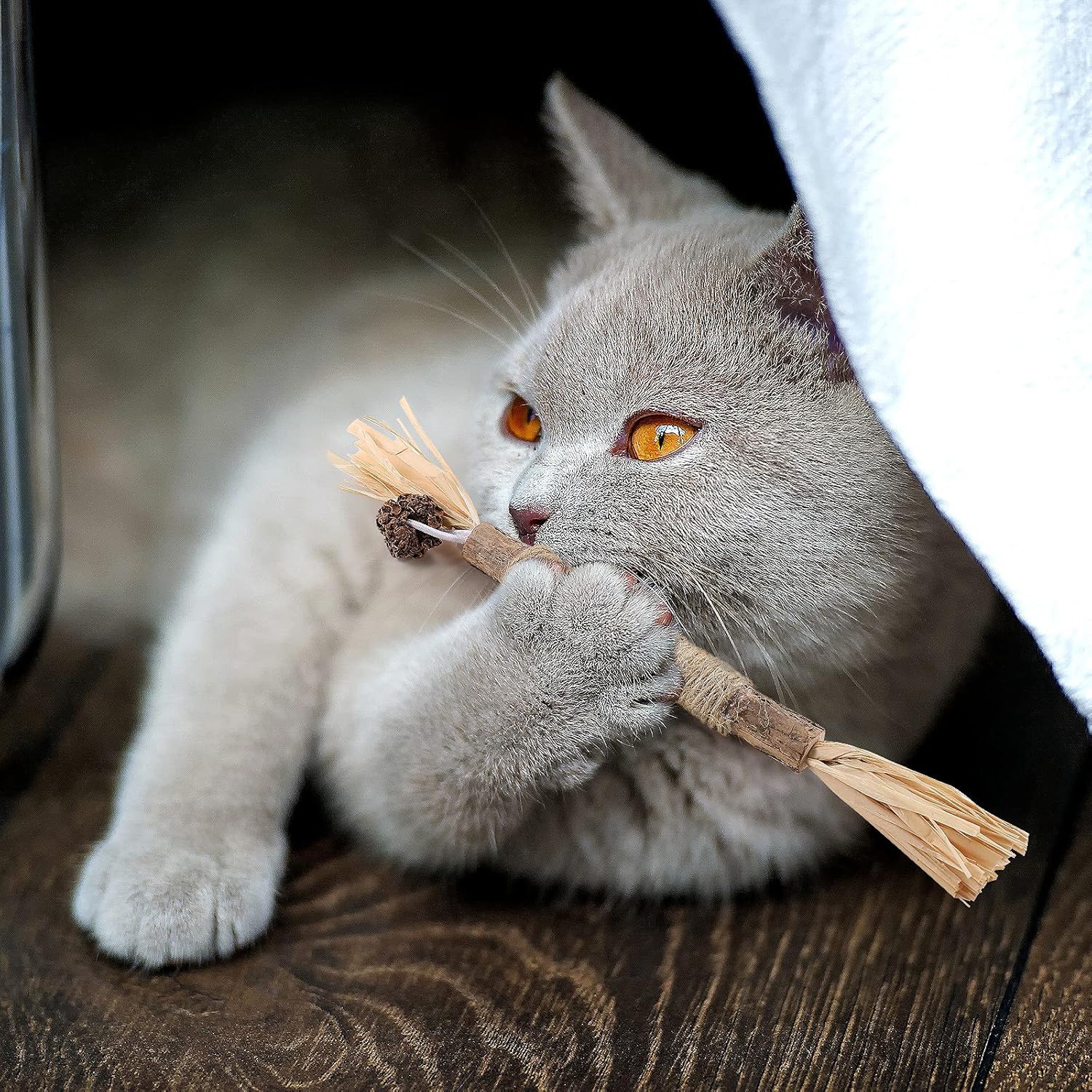 Bâton à mâcher pour chat - PurrStick™ - Sky le Chat