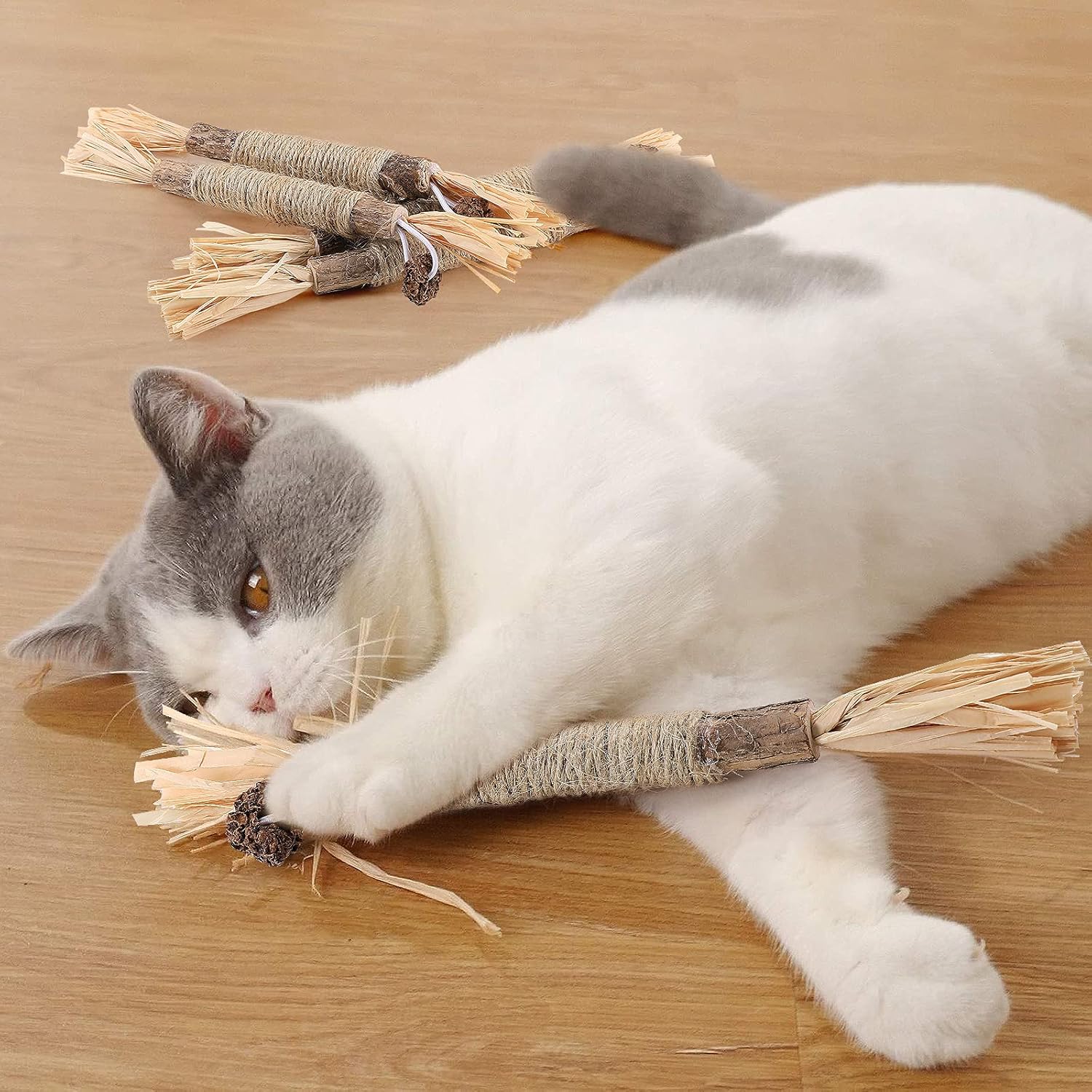Bâton à mâcher pour chat - PurrStick™ - Sky le Chat