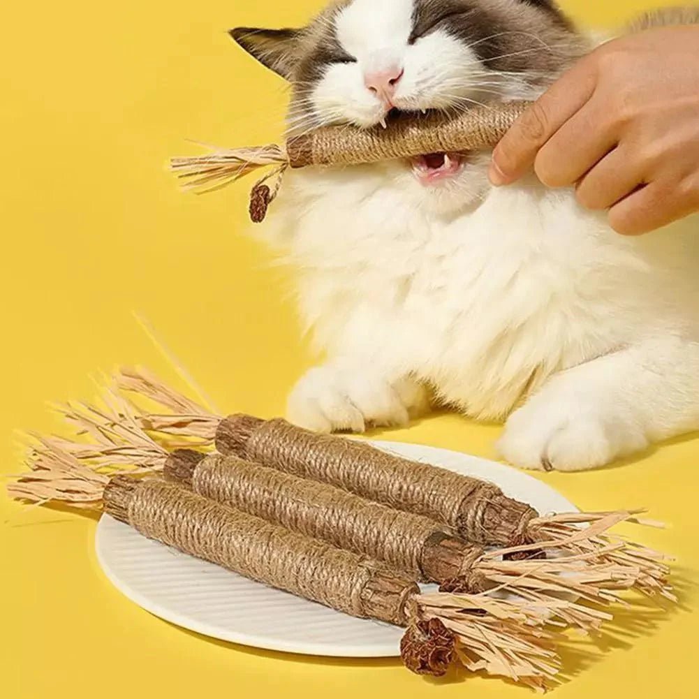 Bâton à mâcher pour chat - PurrStick™ - Sky le Chat