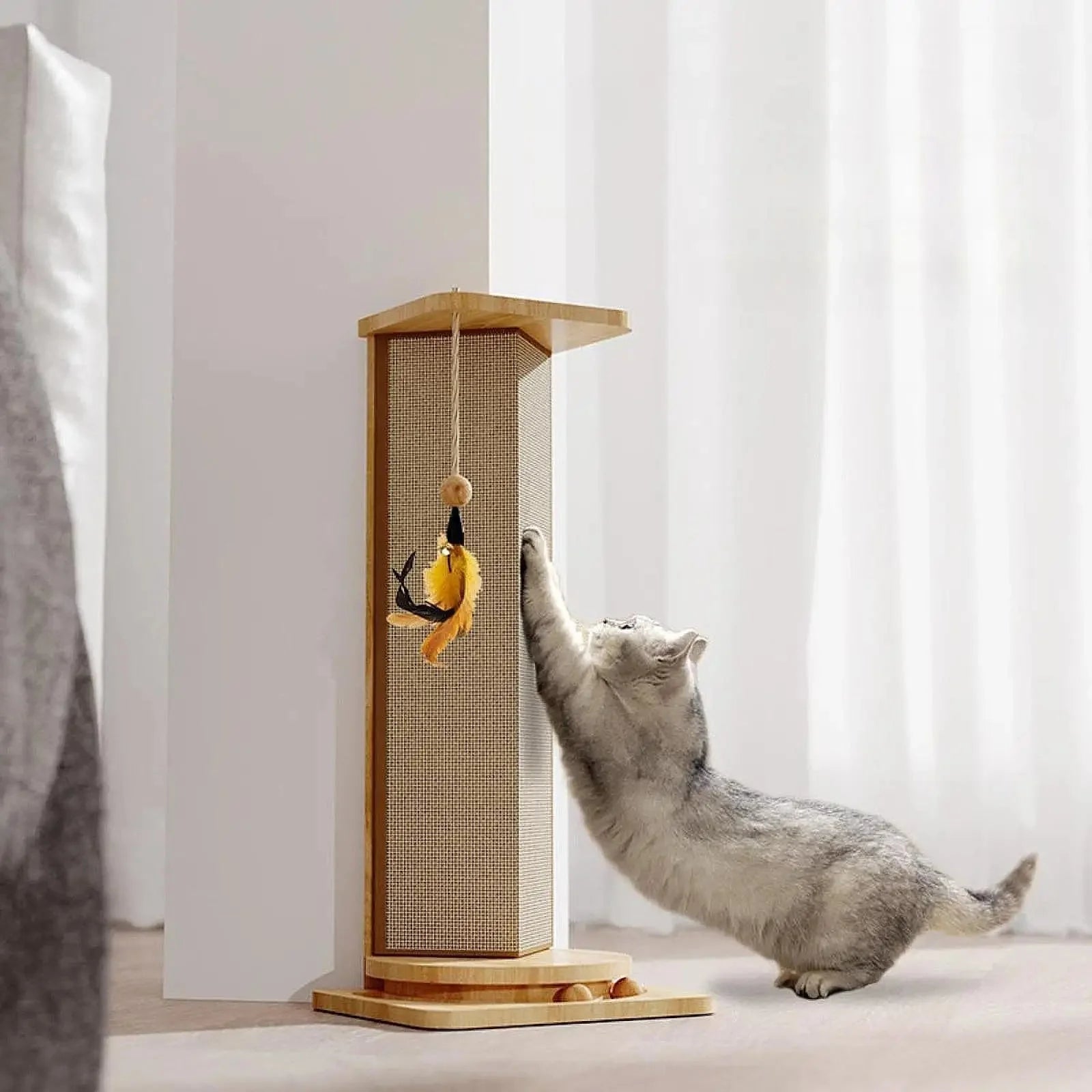 Griffoir pour chat - CatScratcherPost™ - Sky le Chat
