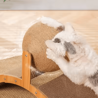Griffoir pour Chat - Scratch&PlayCatBoard™ - Arc - Sky le Chat