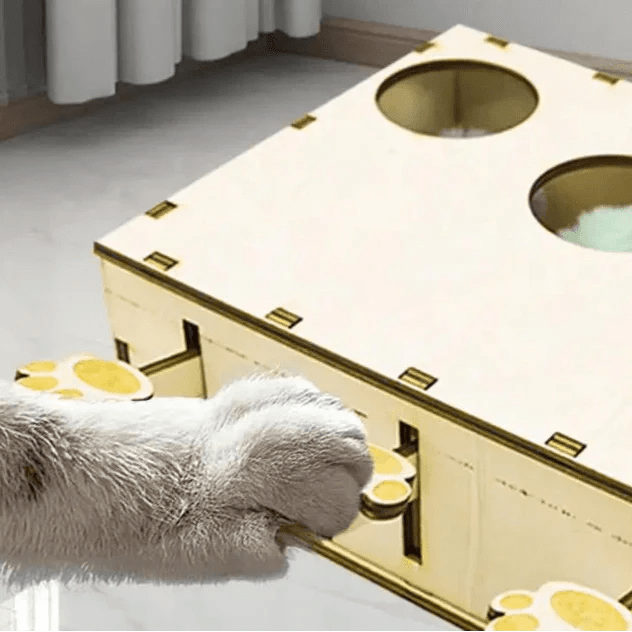 Jouet Interactif Chat - CatWhack™ - Sky le Chat