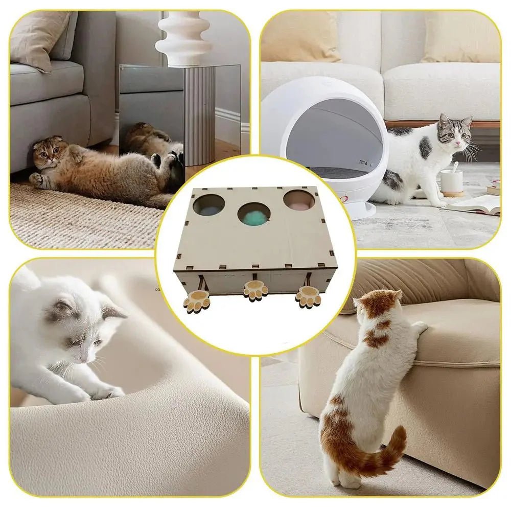 Jouet Interactif Chat - CatWhack™ - Sky le Chat