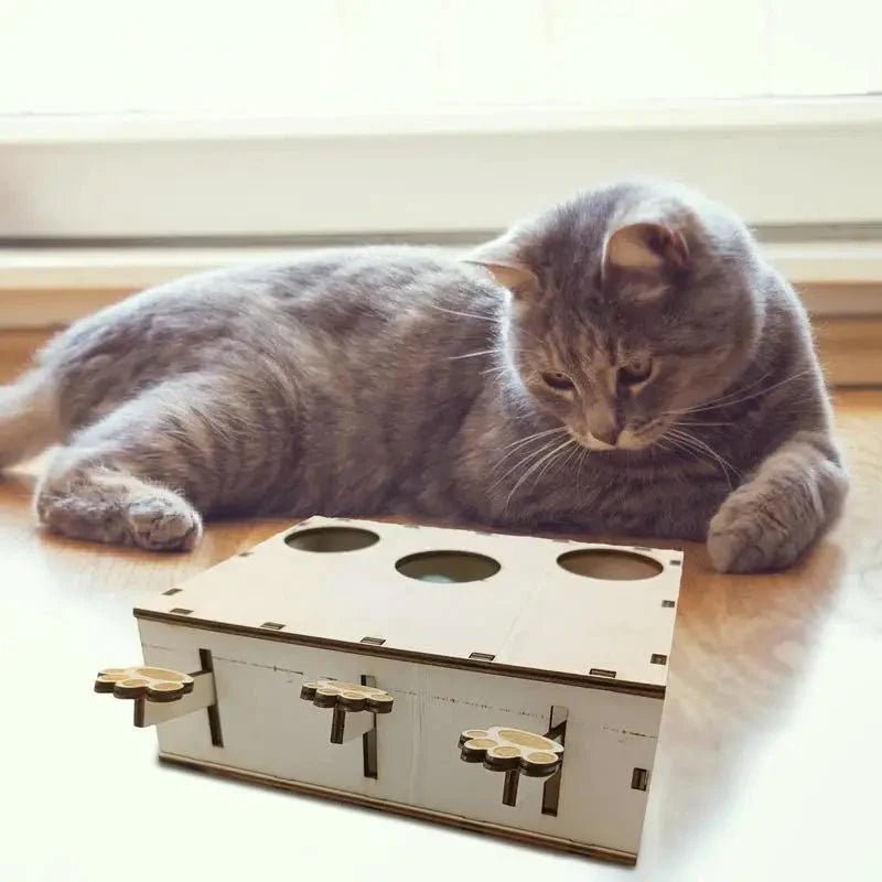 Jouet Interactif Chat - CatWhack™ - Sky le Chat