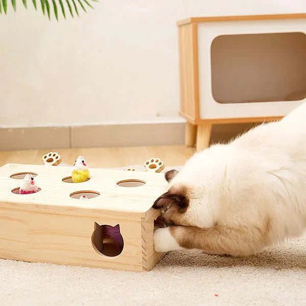 Jouet Interactif Chat - WoodMole™ - Sky le Chat