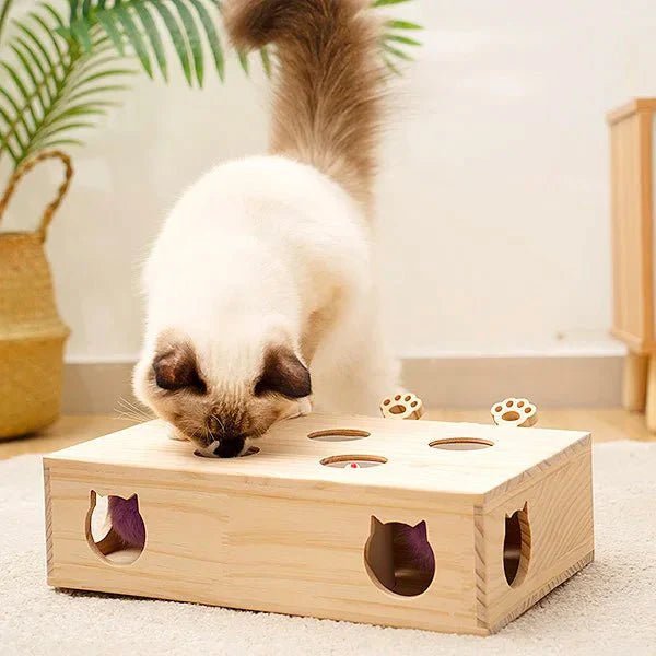 Jouet Interactif Chat - WoodMole™ - Sky le Chat