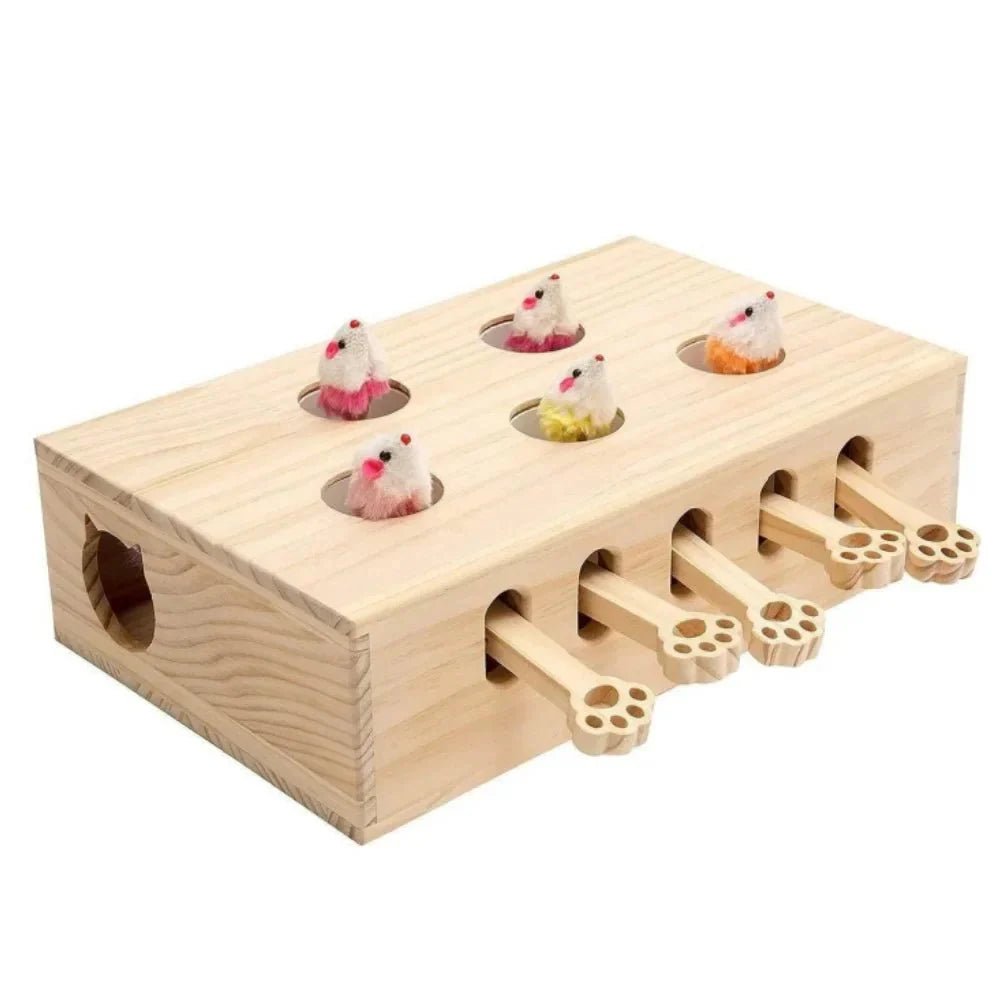 Jouet Interactif Chat - WoodMole™ - Sky le Chat