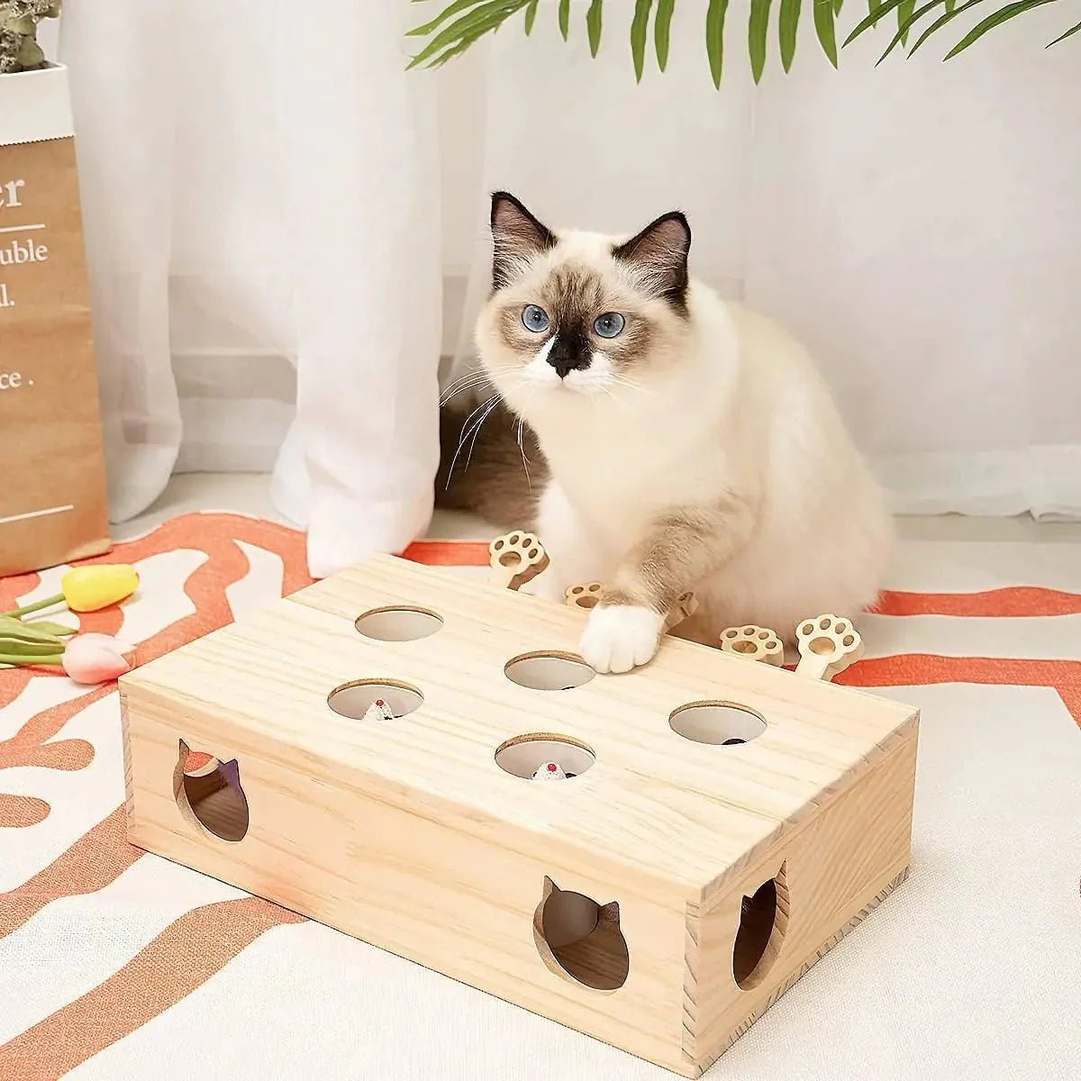 Jouet Interactif Chat - WoodMole™ - Sky le Chat