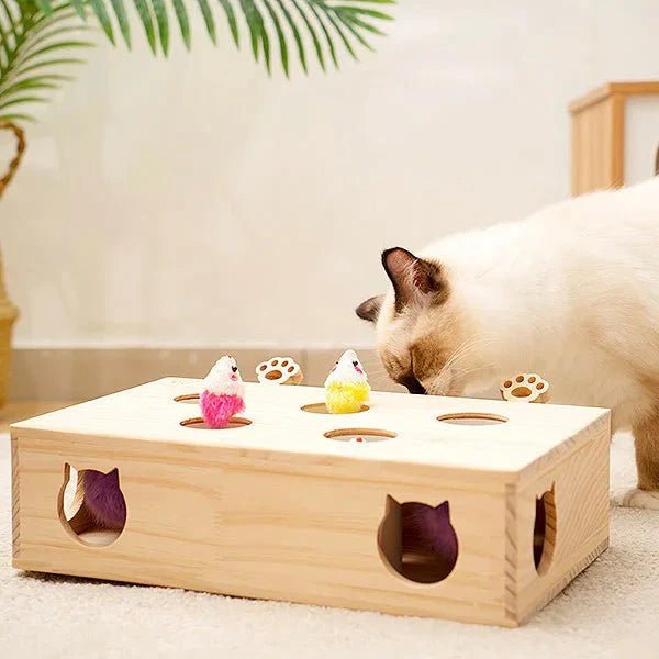 Jouet Interactif Chat - WoodMole™ - Sky le Chat