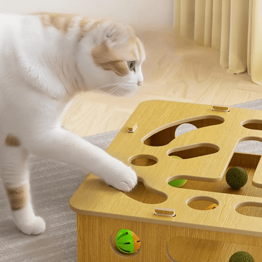 Jouet pour chat - CatPuzzleToy™ - Sky le Chat