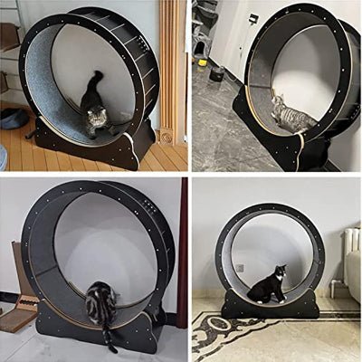 Roue Chat - KittyTread™ - Noir - Sky le Chat