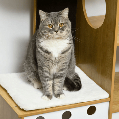 Arbre à Chat - PurrNestTree™ - Sky le Chat