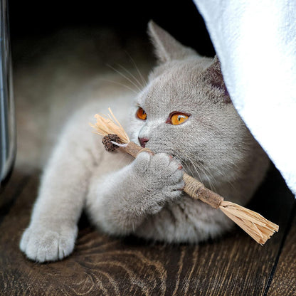 Bâton à mâcher pour chat - PurrStick™ - Sky le Chat