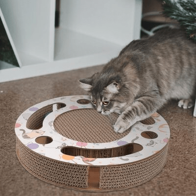 Grattoir Chat - PurrRoundScratcher™ - Chats & Balles - Sky le Chat