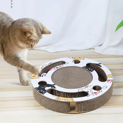 Grattoir Chat - PurrRoundScratcher™ - Chats Colorés - Sky le Chat