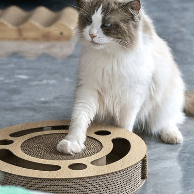 Grattoir Chat - PurrRoundScratcher™ - Minimaliste - Sky le Chat