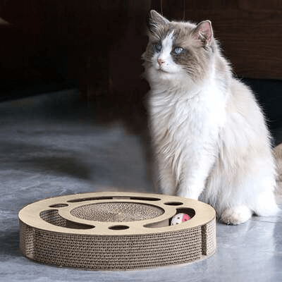 Grattoir Chat - PurrRoundScratcher™ - Minimaliste - Sky le Chat