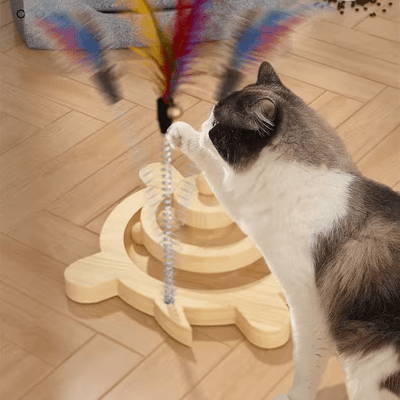 Jouet en Bois - SpinningCatToy™ - Grenouille - Sky le Chat
