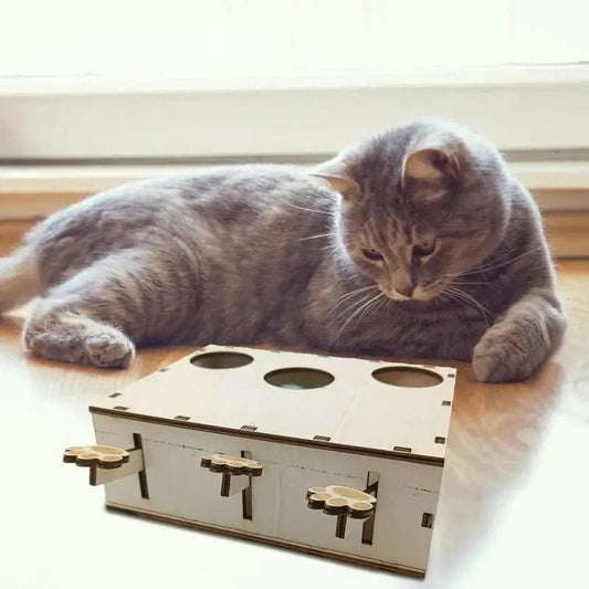 Jouet Interactif Chat - CatWhack™ - Sky le Chat