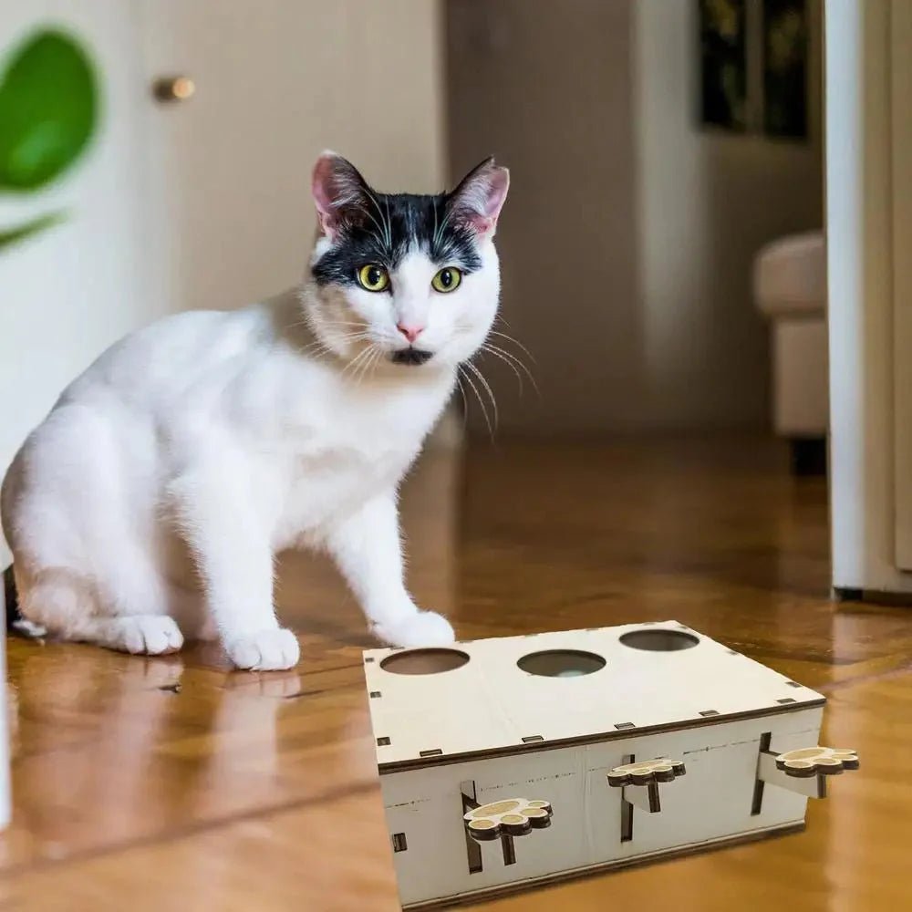 Jouet Interactif Chat - CatWhack™ - Sky le Chat