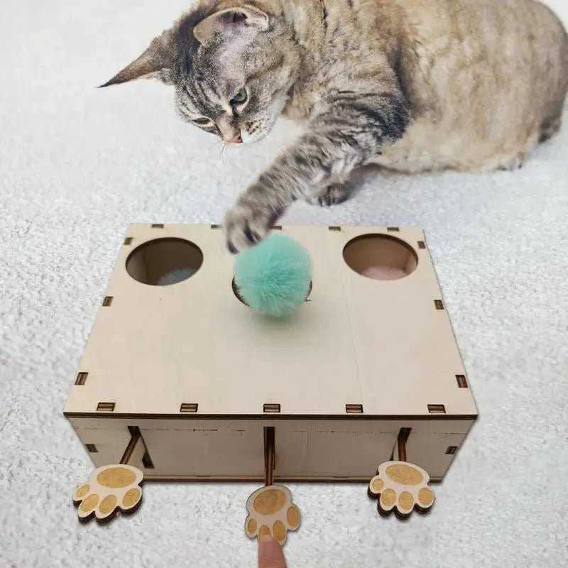 Jouet Interactif Chat - CatWhack™ - Sky le Chat