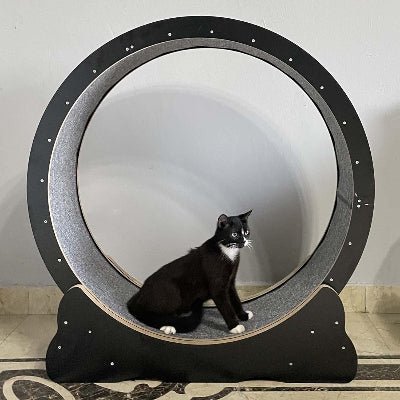 Roue Chat - KittyTread™ - Noir - Sky le Chat